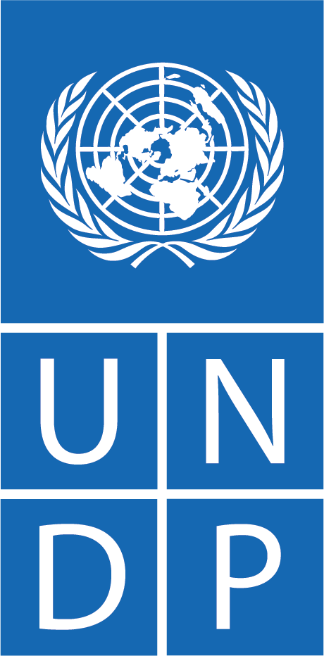 United Nations Development Programme
